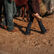 Father and daughter grooming horse wearing Durango Shyloh western boots