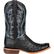 Durango® Premium Exotic Full-Quill Ostrich Midnight Western Boot, , large