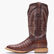 Durango® Men's PRCA Collection Caiman Belly Western Boot, , large