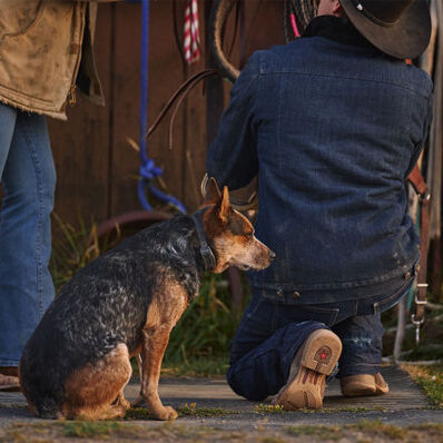 Cowboy on ranch wearing DDB0476 Rebel Pro western boot with dog