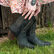 Crush™ by Durango® Women's Vintage Teal Bootie Western Boot, , large