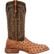 Durango® PRCA Collection Full-Quill Ostrich Western Boot, , large
