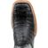 Durango® Premium Exotics™ Black Onyx Caiman Western Boot, , large