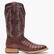 Durango® Men's PRCA Collection Caiman Belly Western Boot, , large
