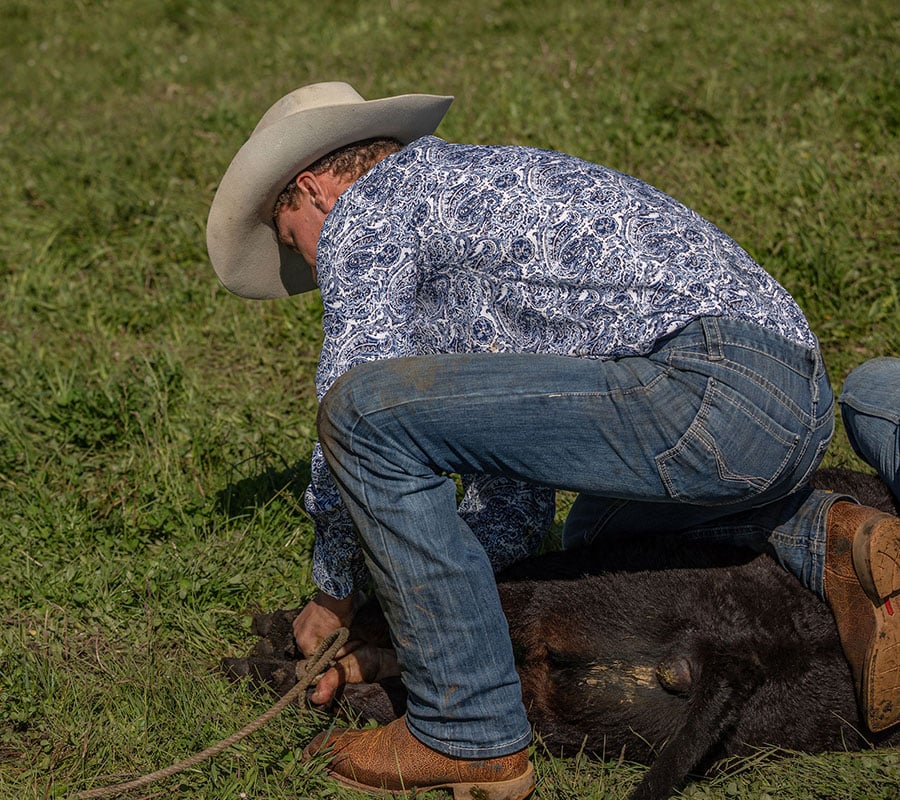 Durango | Cattle Branding With Maggie Goddard | Durango Boots