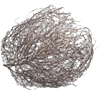 tumbleweed rolling and bouncing across the screen